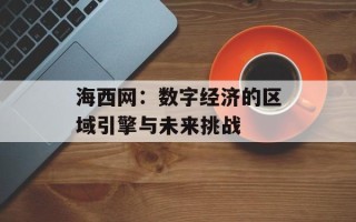 海西网：数字经济的区域引擎与未来挑战