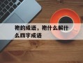 袍的成语，袍什么解什么四字成语
