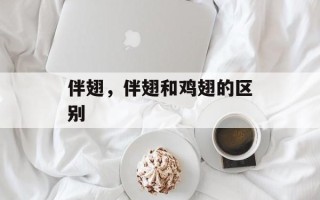 伴翅，伴翅和鸡翅的区别