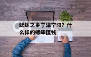 蟋蟀之乡宁津宁阳？什么样的蟋蟀值钱