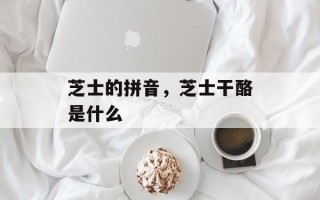 芝士的拼音，芝士干酪是什么