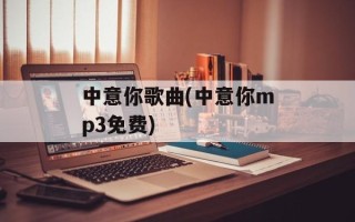 中意你歌曲(中意你mp3免费)