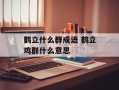 鹤立什么群成语 鹤立鸡群什么意思