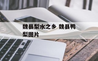 魏县梨水之乡 魏县鸭梨图片