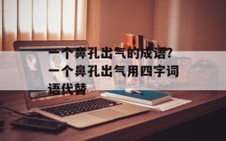 一个鼻孔出气的成语？一个鼻孔出气用四字词语代替