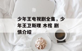 少年王电视剧全集，少年王卫斯理 木棺 剧情介绍