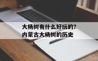 大杨树有什么好玩的？内蒙古大杨树的历史