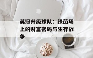 英冠升级球队：绿茵场上的财富密码与生存战争