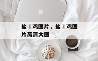 盐焗鸡图片，盐焗鸡图片高清大图