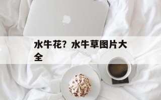 水牛花？水牛草图片大全