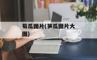 荀瓜图片(笋瓜图片大图)