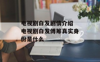 电视剧白发剧情介绍 电视剧白发傅筹真实身份是什么