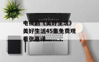 电视剧《美好生活》 美好生活45集免费观看张嘉译