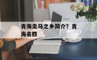 青海走马之乡简介？青海名胜