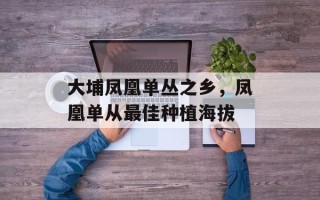 大埔凤凰单丛之乡，凤凰单从最佳种植海拔