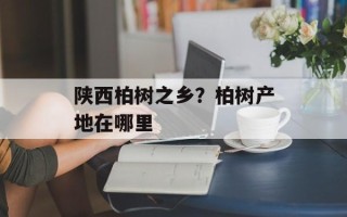 陕西柏树之乡？柏树产地在哪里
