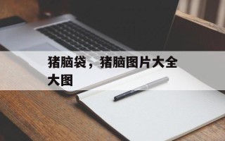 猪脑袋，猪脑图片大全大图