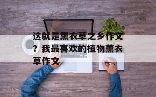 这就是熏衣草之乡作文？我最喜欢的植物薰衣草作文