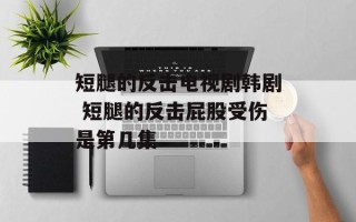 短腿的反击电视剧韩剧 短腿的反击屁股受伤是第几集
