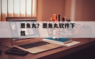 墨鱼丸？墨鱼丸软件下载