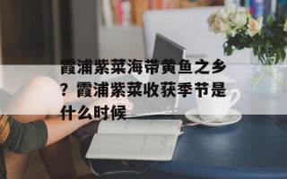 霞浦紫菜海带黄鱼之乡？霞浦紫菜收获季节是什么时候