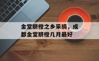 金堂脐橙之乡采摘，成都金堂脐橙几月最好