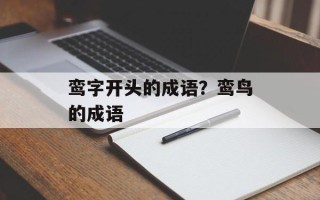 鸾字开头的成语？鸾鸟的成语