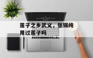 莲子之乡武义，张锡纯用过莲子吗
