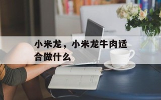 小米龙，小米龙牛肉适合做什么