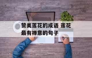 赞美莲花的成语 莲花最有禅意的句子