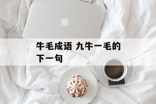 牛毛成语 九牛一毛的下一句-第1张图片-