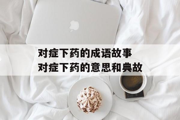 对症下药的成语故事 对症下药的意思和典故-第1张图片-