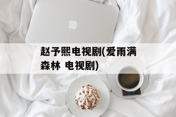 赵予熙电视剧(爱雨满森林 电视剧)-第1张图片-