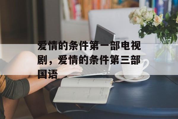 爱情的条件第一部电视剧，爱情的条件第三部国语-第1张图片-
