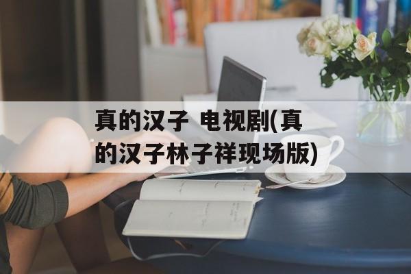 真的汉子 电视剧(真的汉子林子祥现场版)-第1张图片-