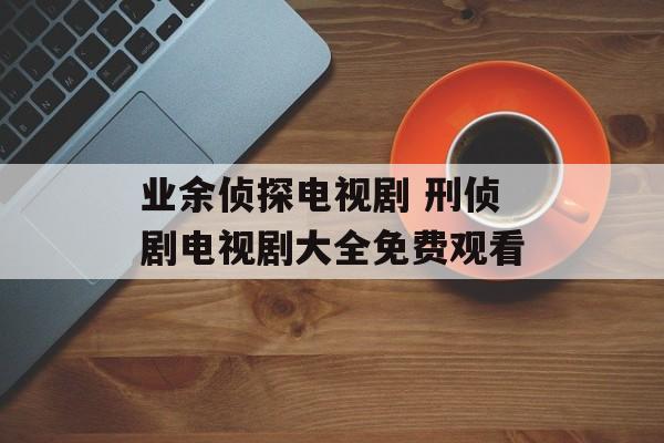 业余侦探电视剧 刑侦剧电视剧大全免费观看-第1张图片-