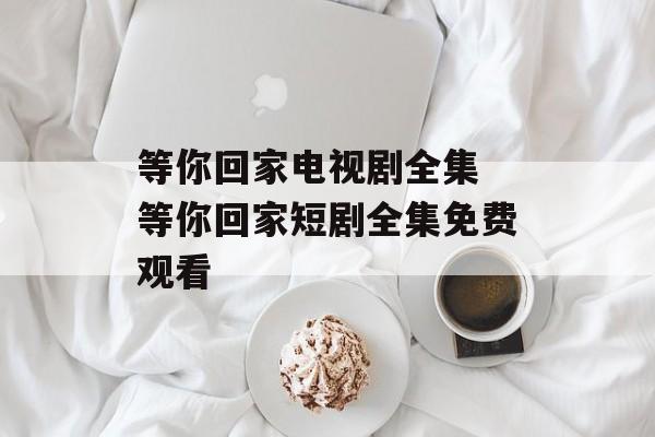 等你回家电视剧全集 等你回家短剧全集免费观看-第1张图片-