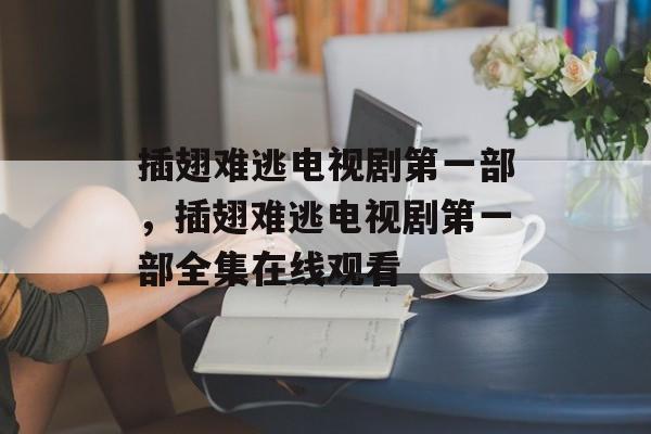 插翅难逃电视剧第一部，插翅难逃电视剧第一部全集在线观看-第1张图片-