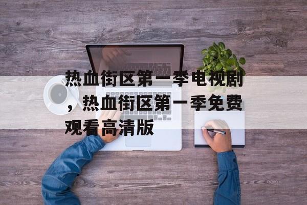 热血街区第一季电视剧，热血街区第一季免费观看高清版-第1张图片-