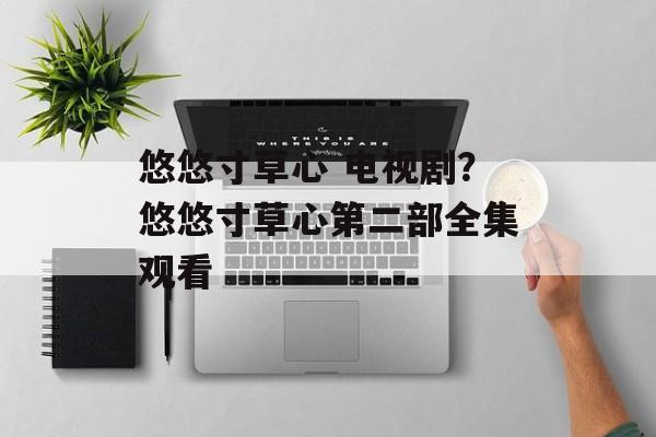悠悠寸草心 电视剧？悠悠寸草心第二部全集观看-第1张图片-