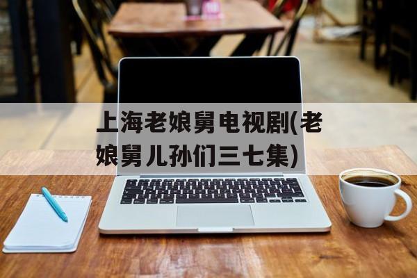 上海老娘舅电视剧(老娘舅儿孙们三七集)-第1张图片-