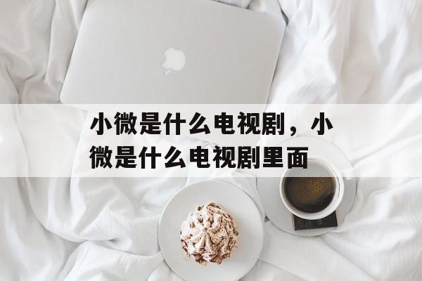 小微是什么电视剧，小微是什么电视剧里面-第1张图片-