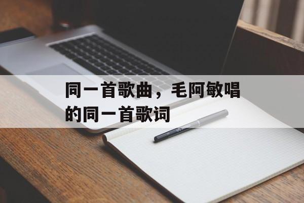 同一首歌曲，毛阿敏唱的同一首歌词-第1张图片-