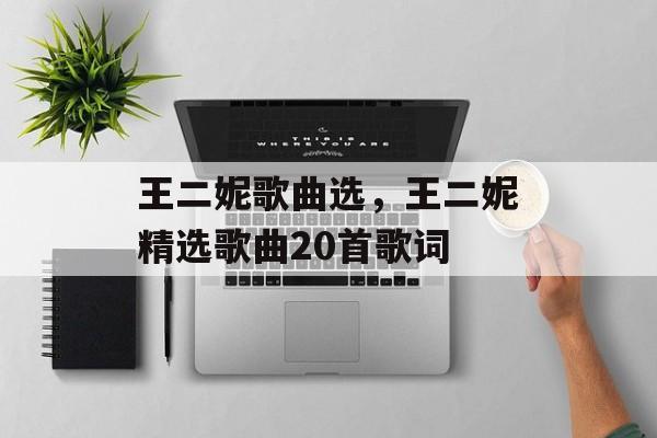王二妮歌曲选，王二妮精选歌曲20首歌词-第1张图片-