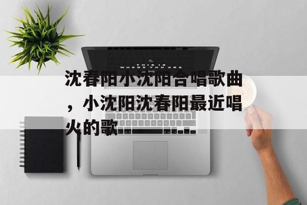 沈春阳小沈阳合唱歌曲，小沈阳沈春阳最近唱火的歌-第1张图片-