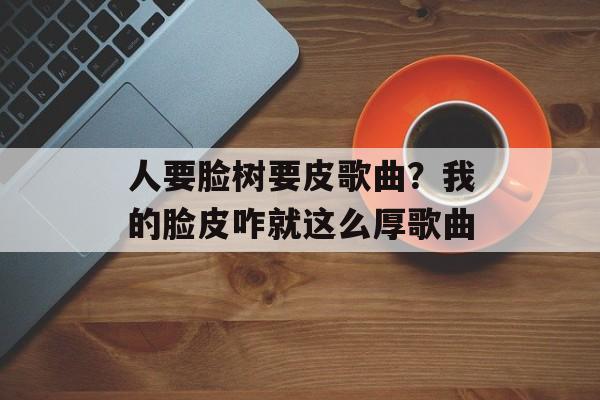 人要脸树要皮歌曲？我的脸皮咋就这么厚歌曲-第1张图片-
