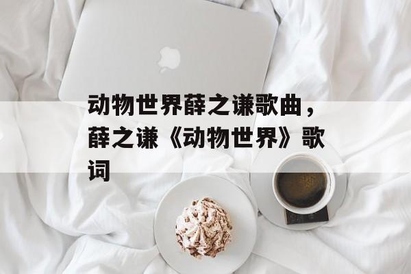动物世界薛之谦歌曲，薛之谦《动物世界》歌词-第1张图片-