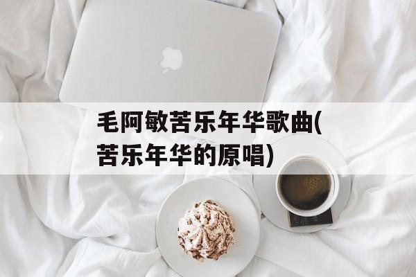 毛阿敏苦乐年华歌曲(苦乐年华的原唱)-第1张图片-