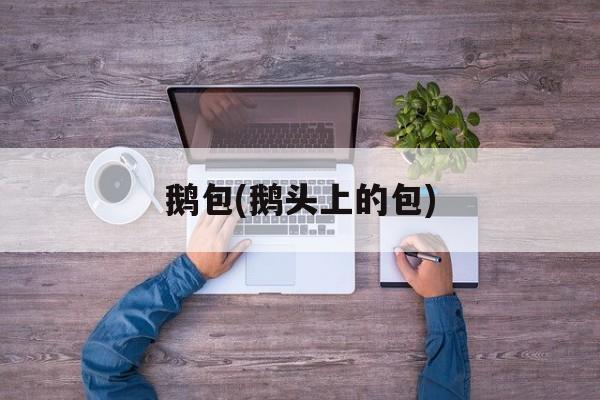 鹅包(鹅头上的包)-第1张图片-