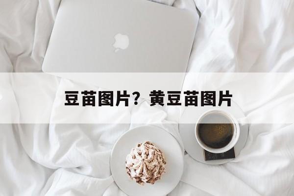 豆苗图片？黄豆苗图片-第1张图片-